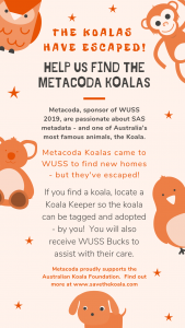 flyer re searching for Metacoda koalas